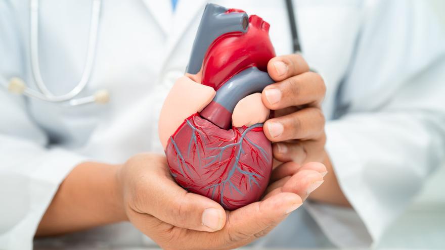 Hábitos y estilos de vida para reducir las muertes prematuras por cardiopatías