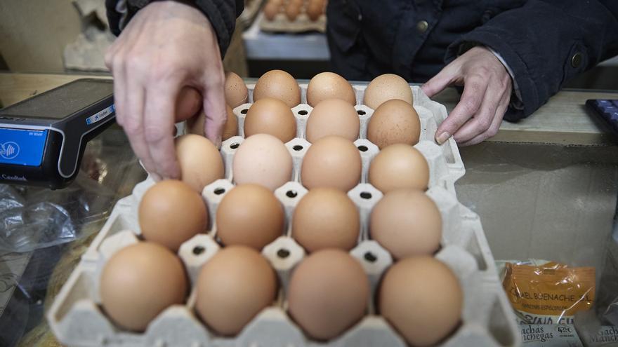 La OCU pide que se informe de que los huevos camperos han dejado de serlo por gripe aviar