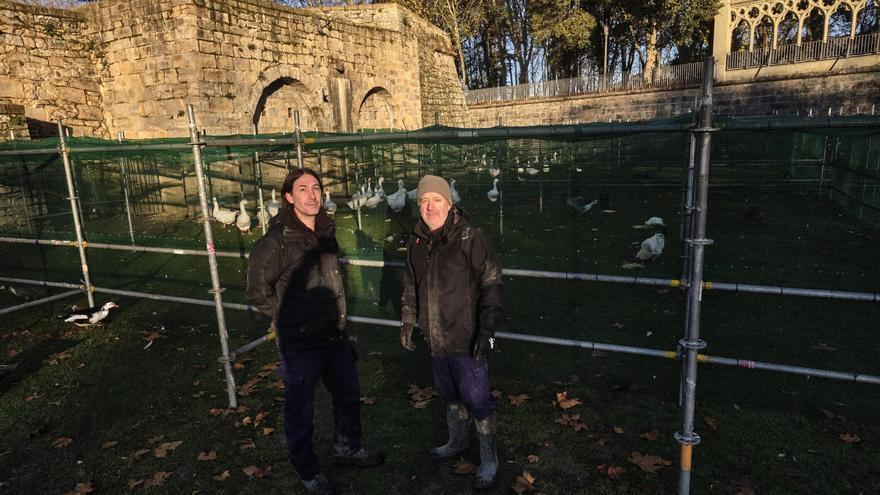 Los ‘encantadores de patos’ de la Taconera