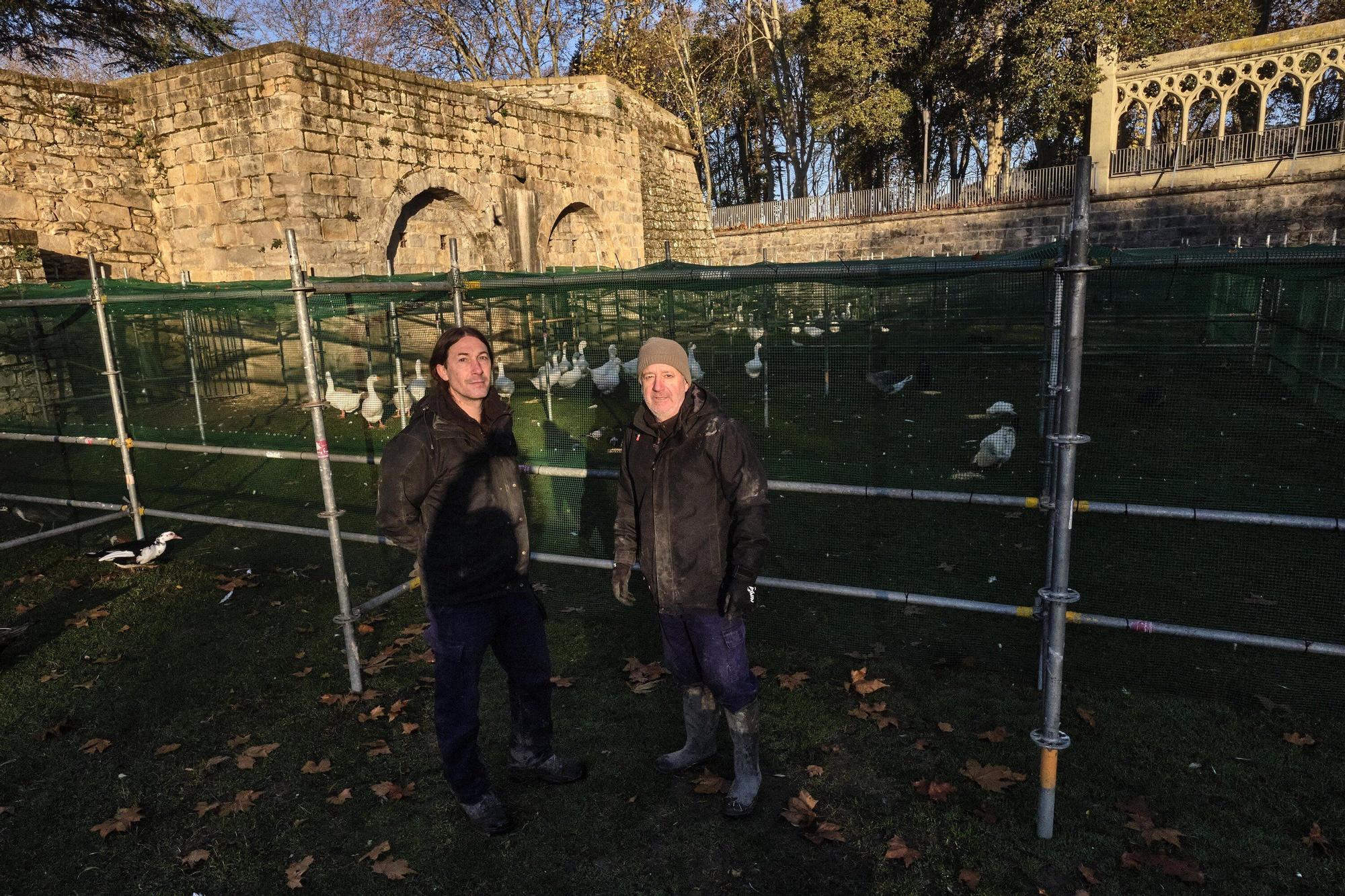 Las medidas contra la gripe aviar en la Taconera de Pamplona