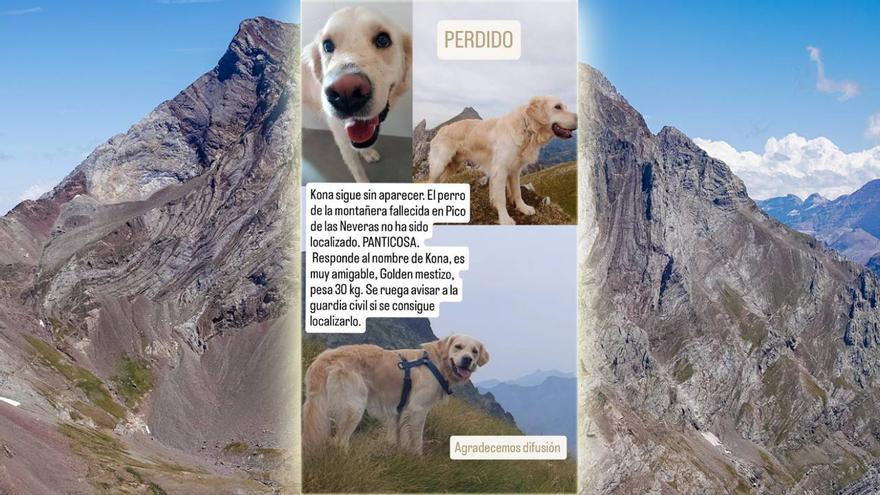 Se busca ayuda montañera: continúa la búsqueda de Kona, el perro de la joven navarra fallecida en el Pirineo