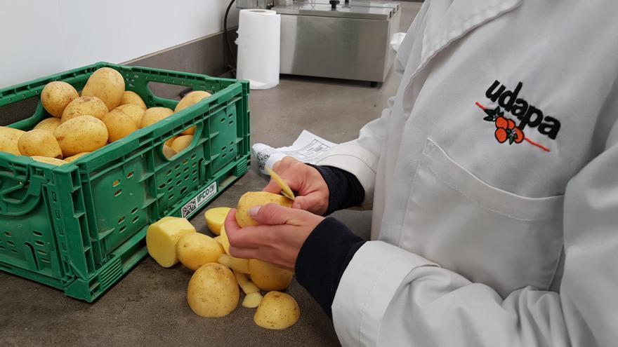 Udapa invierte en su futuro: 20 millones para relanzar la patata de siembra en Álava
