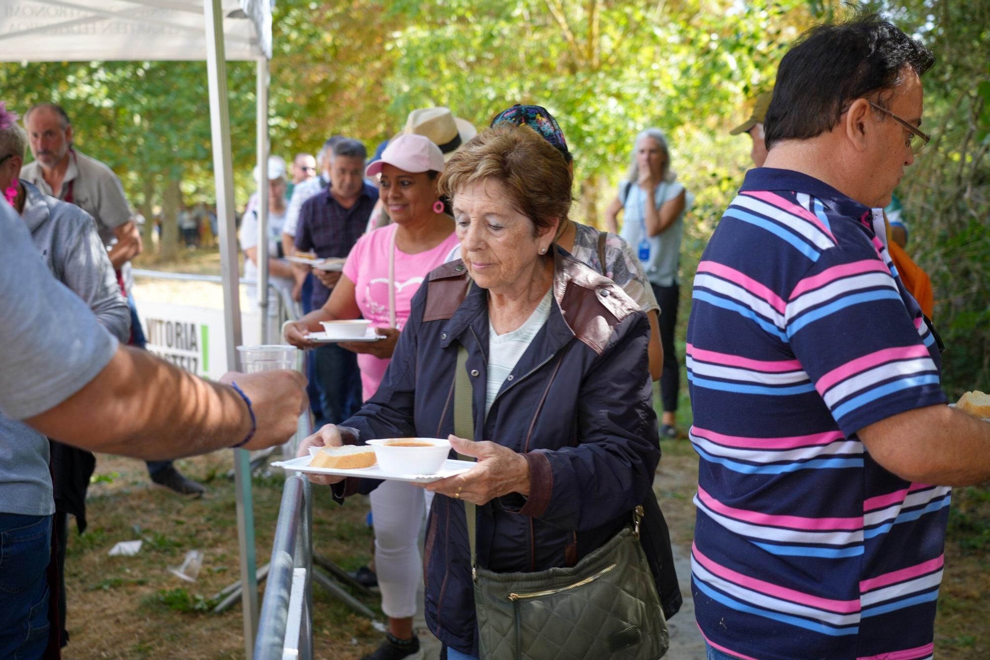 Alubiada en la campa de Olarizu