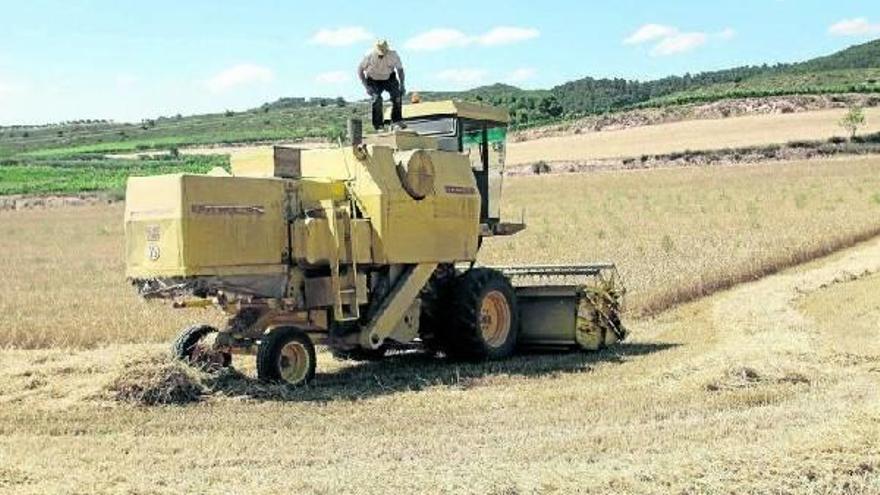 Un agricultor trabaja con la cosechadora en una imagen tomada el lunes en una finca entre Los Arcos y Urbiola.