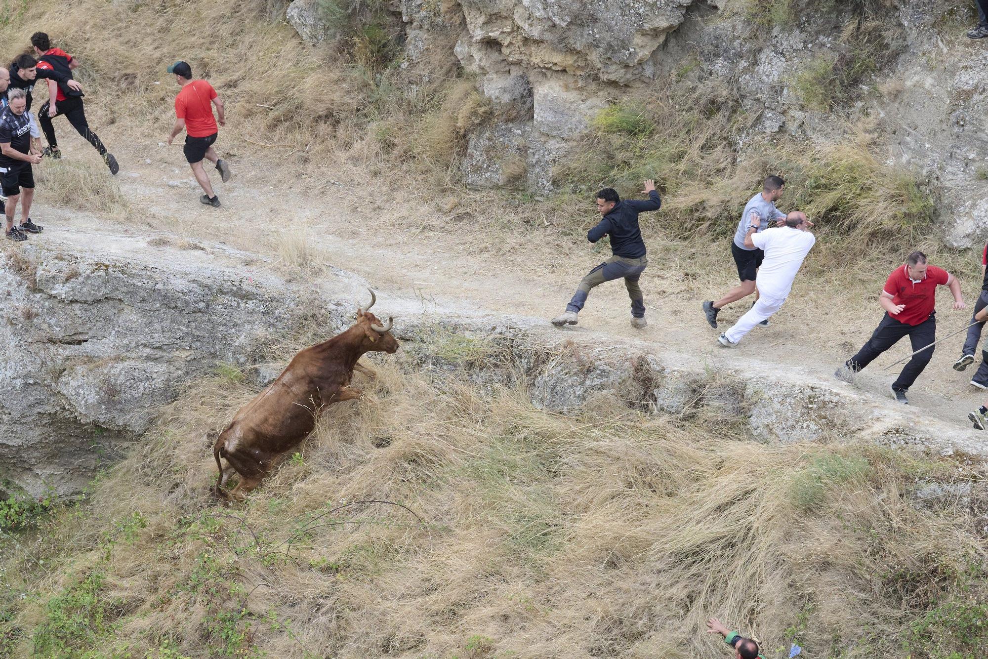 Fotos del tercer encierro del Pilón de Falces 2025