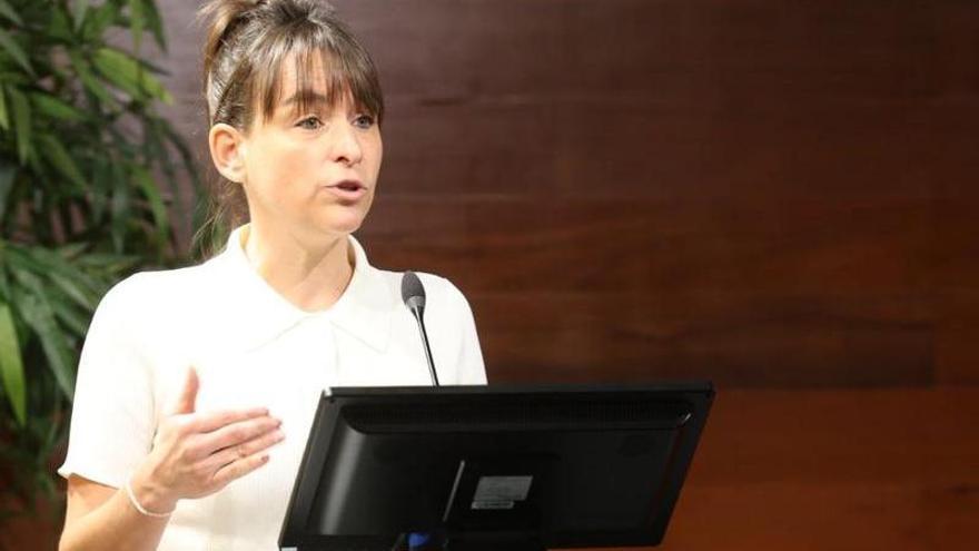 La vicepresidenta Alfaro en la jornada celebrada en Donostia.
