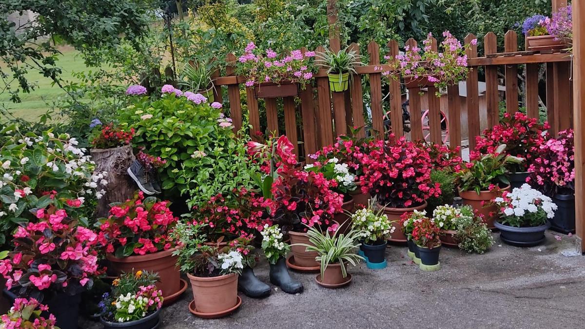 Las flores del caserío Ladaburu.