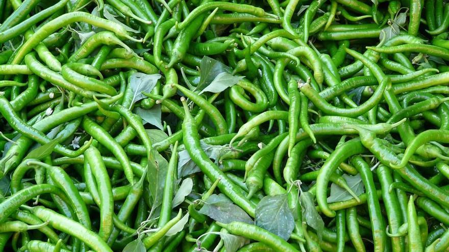 Guindillas de Ibarra: características y propiedades