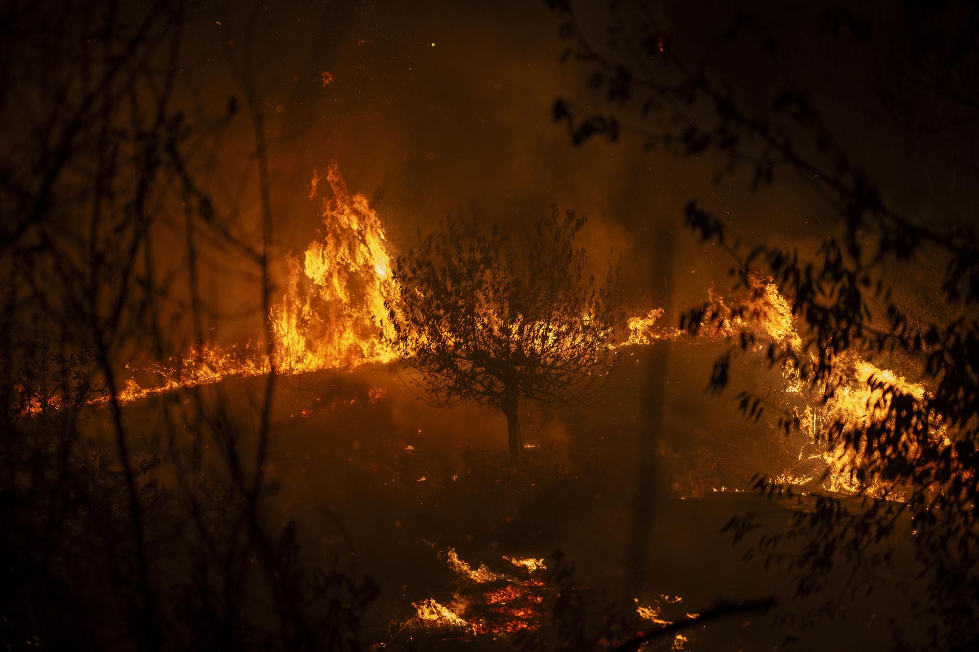 Semana negra de incendios: Cuatro muertos y 120.000 hectáreas quemadas