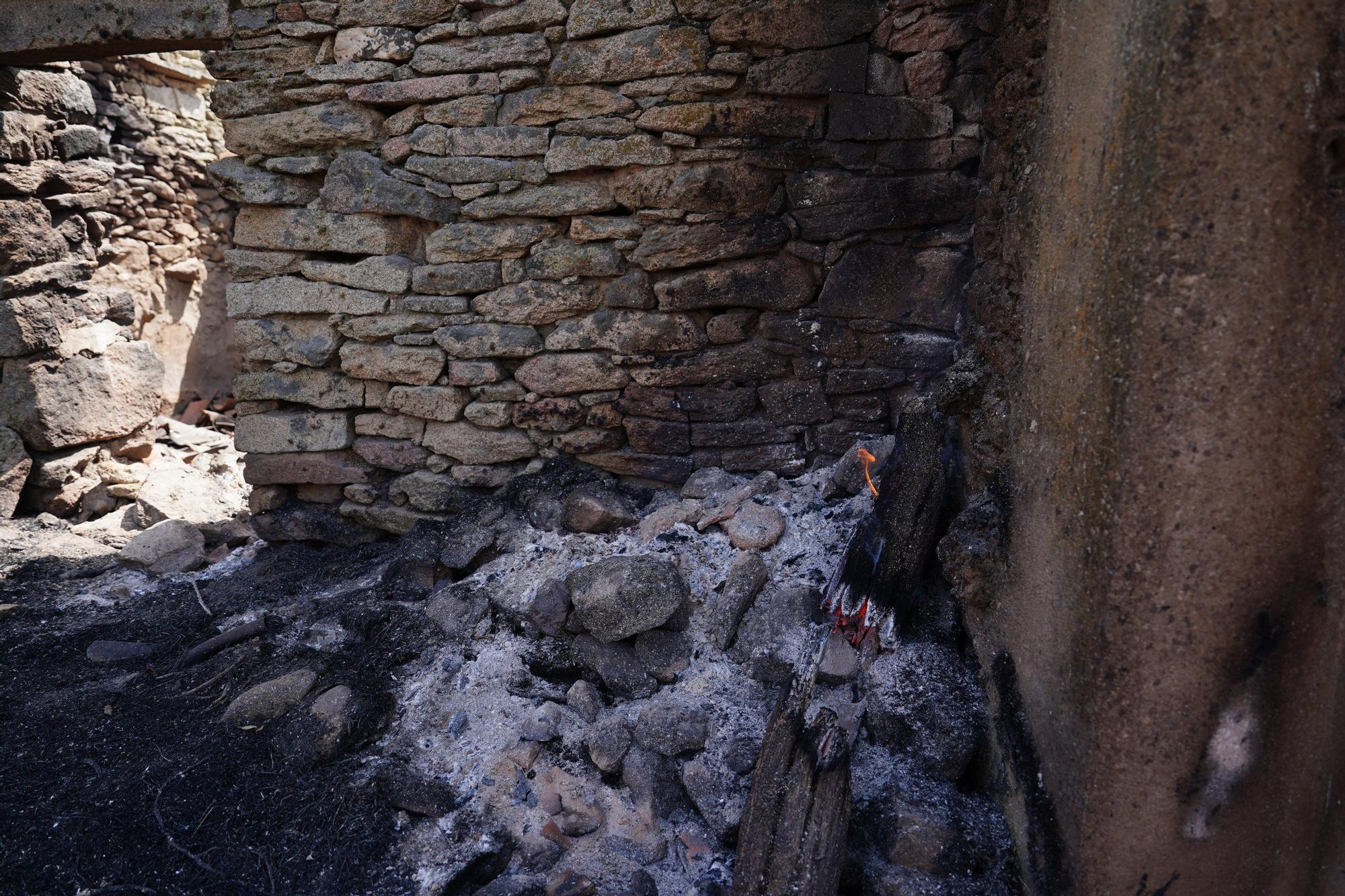 Semana negra de incendios: Cuatro muertos y 120.000 hectáreas quemadas