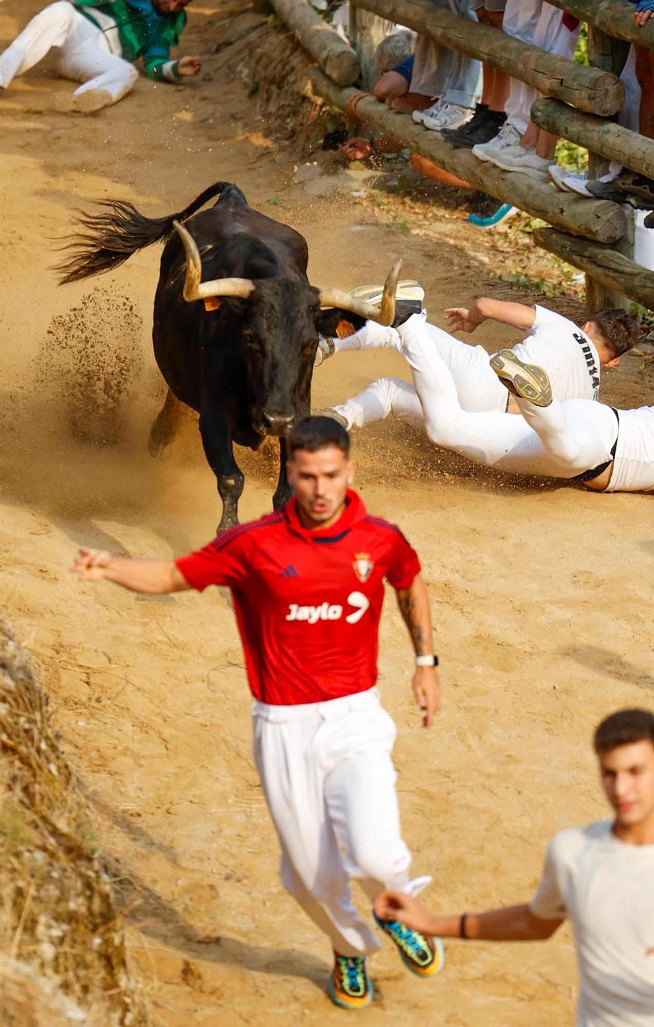 Fotos del segundo encierro del Pilón de Falces 2025