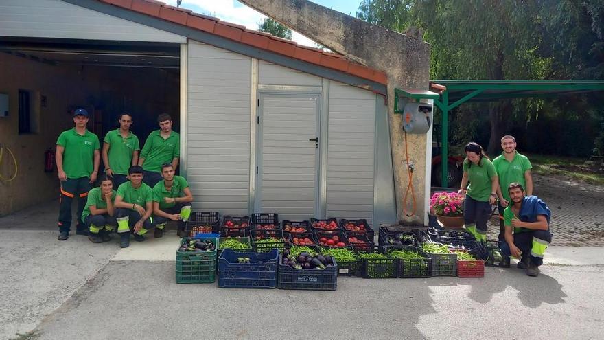Más de media tonelada de hortalizas y verduras de Aranzadi para el Banco de Alimentos de Navarra