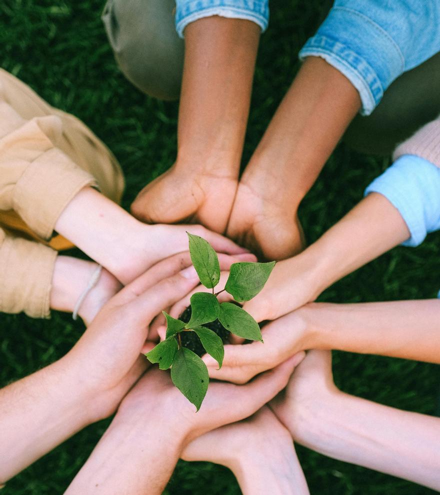 ¿Cómo rentabilizar tus ahorros de forma responsable?