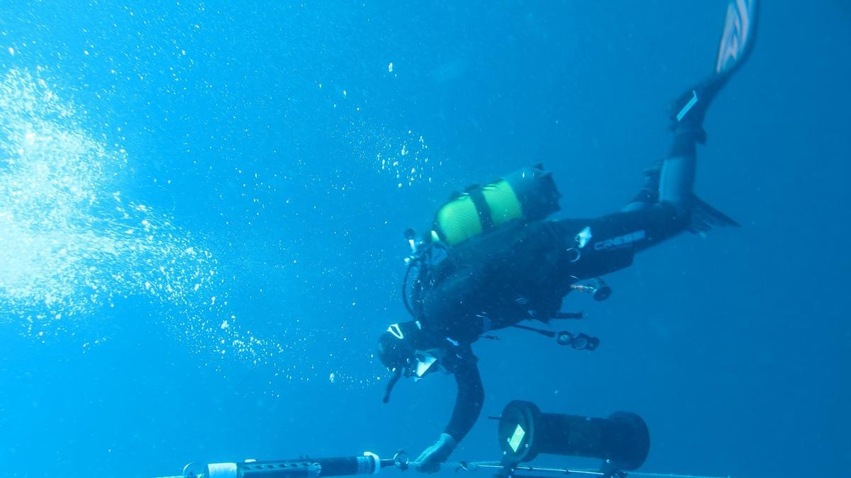 Los investigadores advierten sobre la necesidad de reforzar la vigilancia y la investigación para comprender mejor los impactos locales.