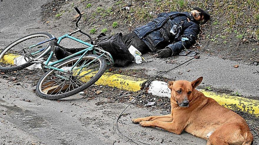 Un perro parece ‘custodiar’ el cadáver de uno de los más de 300 civiles asesinados en la localidad de Bucha, próxima a Kiev.