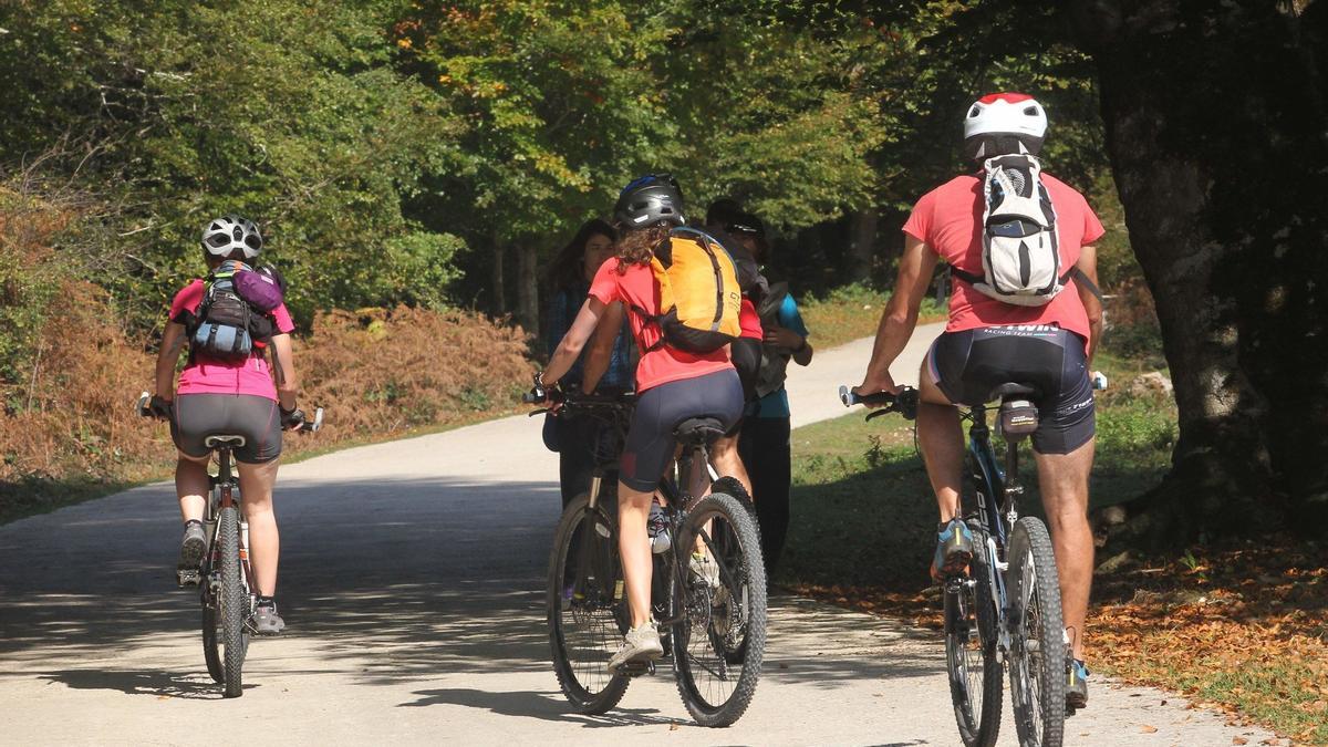 Ciclistas paseando por la Selva de Irati. Ciclistas paseando por la Selva de Irati.