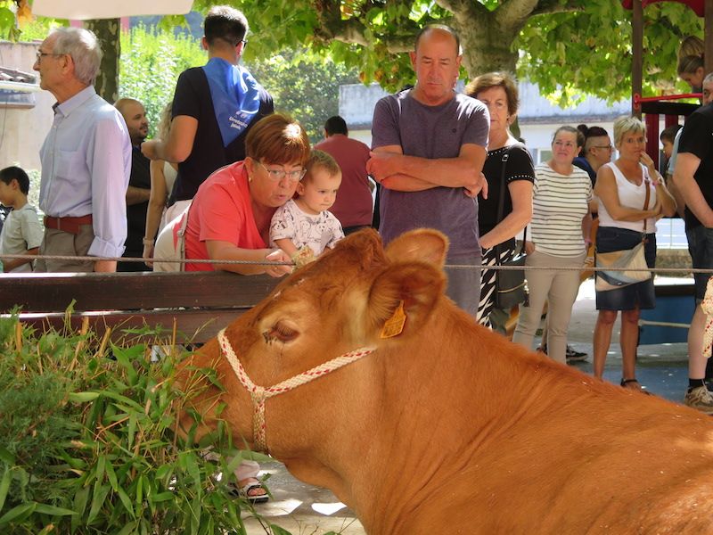 Los urretxuarras lo dan todo en las fiestas de Santa Anastasia