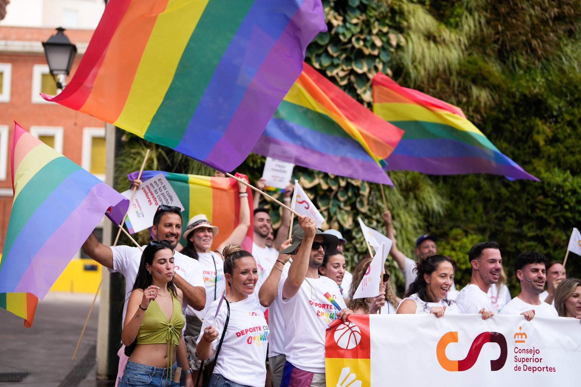 Orgullo 2025: Madrid en pie por la diversidad