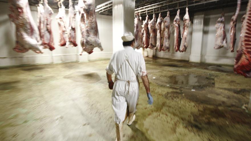 Bizkaia retoma el proyecto para abrir el primer matadero en más de una década