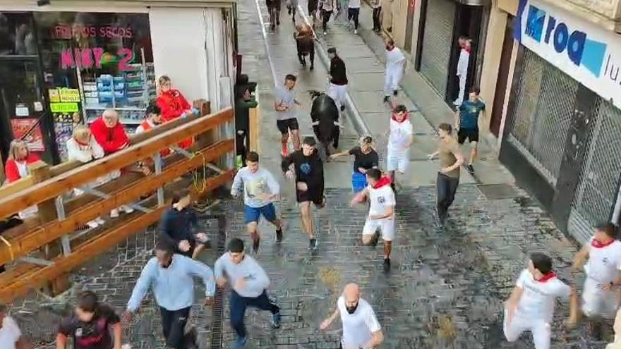Penúltimo encierro de novillos de las fiestas de Estella-Lizarra