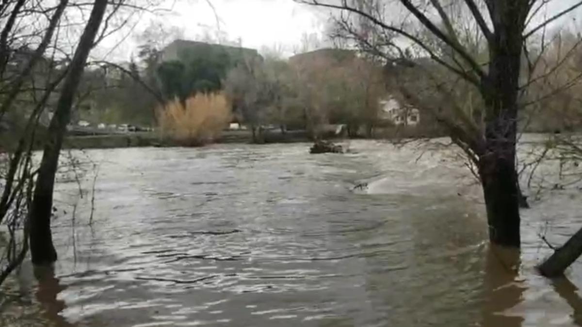 Crecida del Arga en la Magdalena