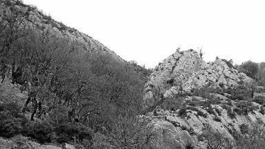 El manantial de Urruntzurre, en Irañeta, en invierno.