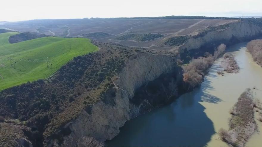 El vertido de la macrogranja de Caparroso arrasó flora y fauna de una zona de especial protección