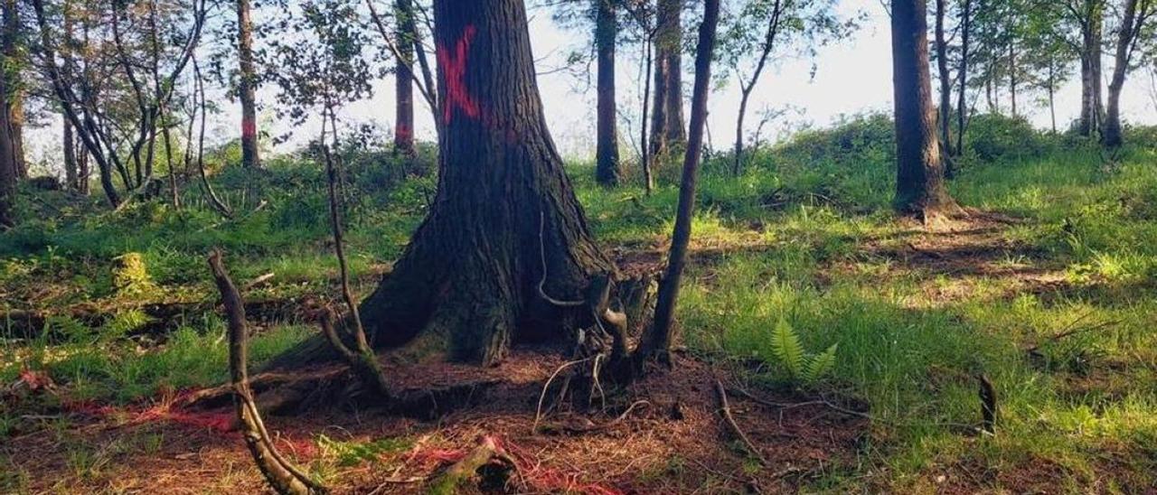 El medidor de viento de Txillarramendi, vinculado al parque eólico de Statkraft en Urola Erdia, tampoco se ejecutará