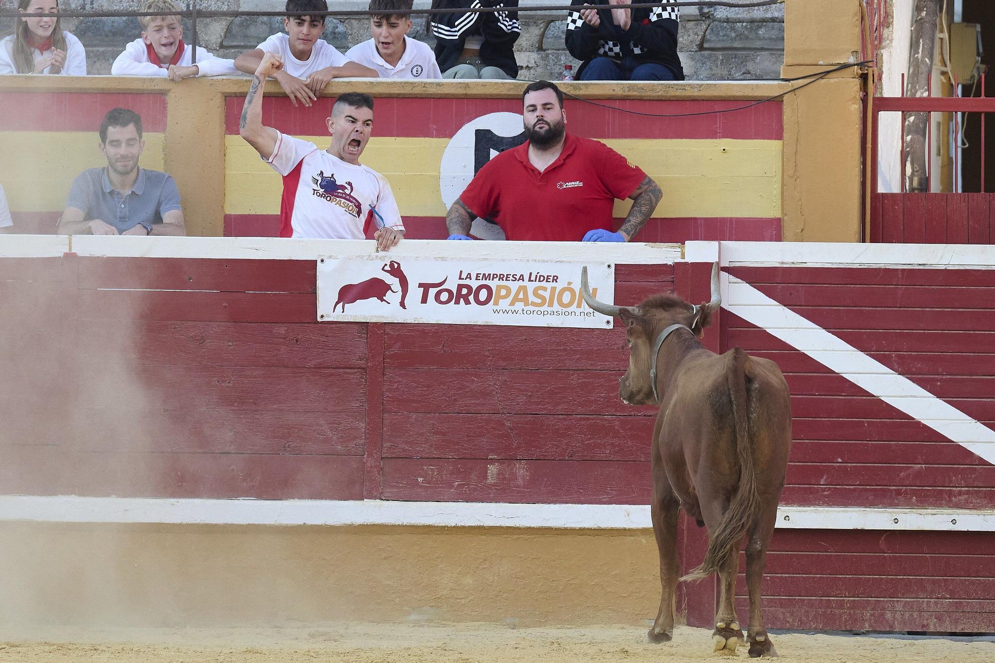 Concurso de recortadores con anillas