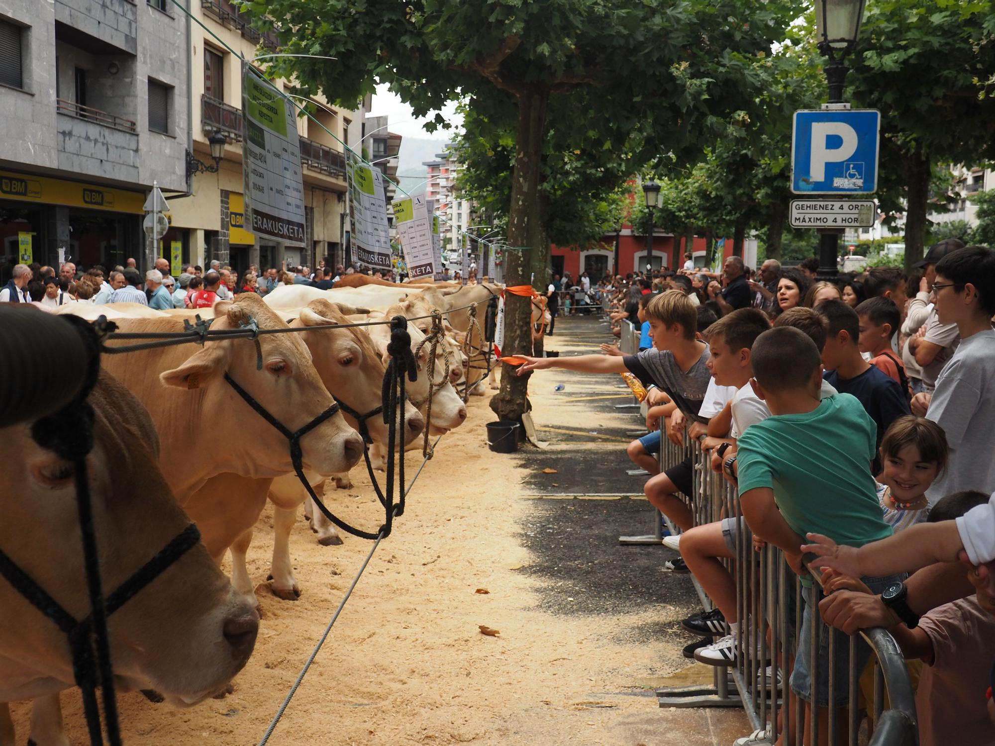 Fiesta total en Azpeitia en el Baserritarren Eguna