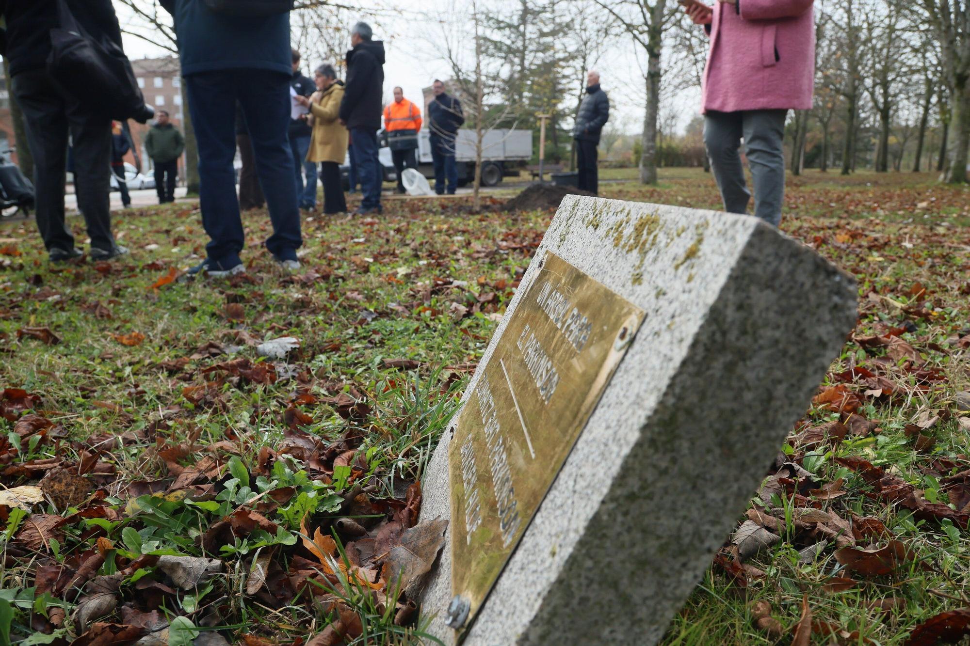 En imágenes: Un árbol para 25 años de lucha contra el párkinson en Vitoria