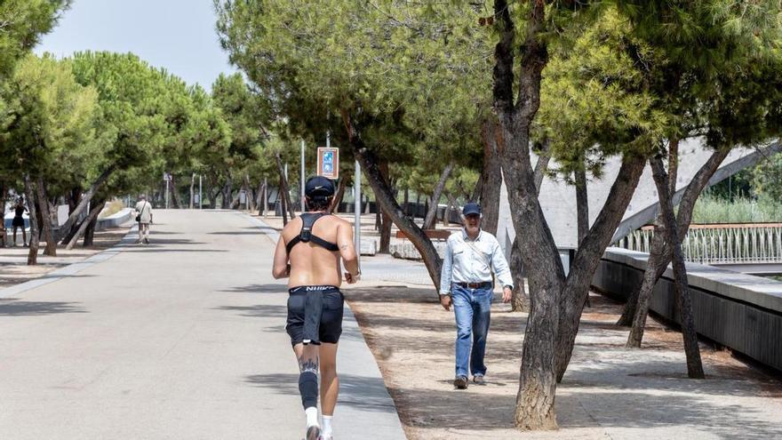Más de 1.100 personas han muerto en el Estado durante la ola de calor de agosto