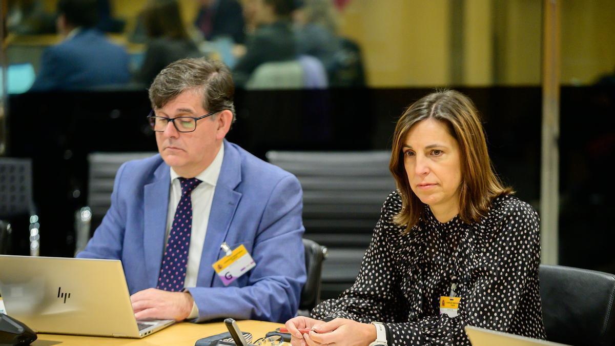 La directora general de Ciencia, Tecnología e Innovación, Agurtzane Martínez, en un momento de la reunión celebrada en Madrid