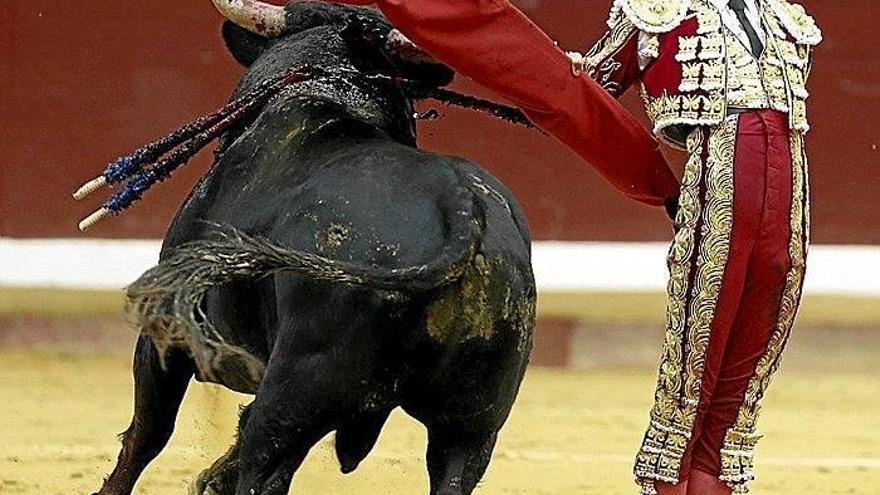 Malos toros en  la tercera corrida de Illunbe