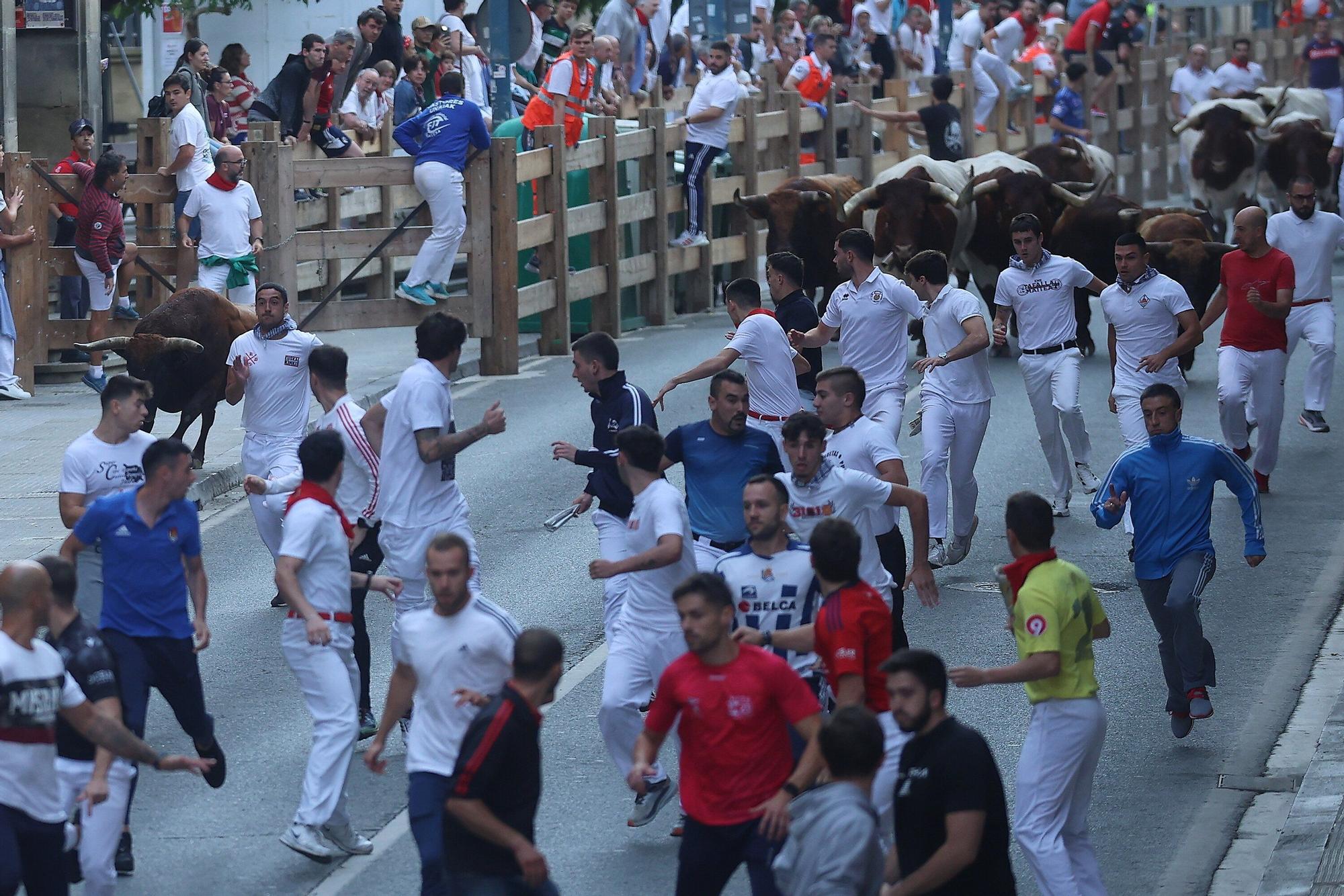 Fotos del quinto encierro de las fiestas de Tafalla 2025