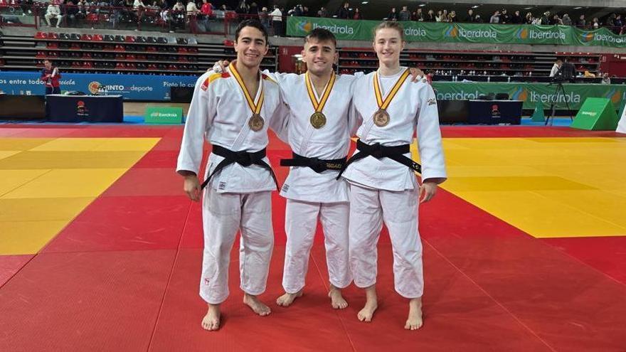 Navarra logra tres medallas en Campeonato de España absoluto de judo en Asturias