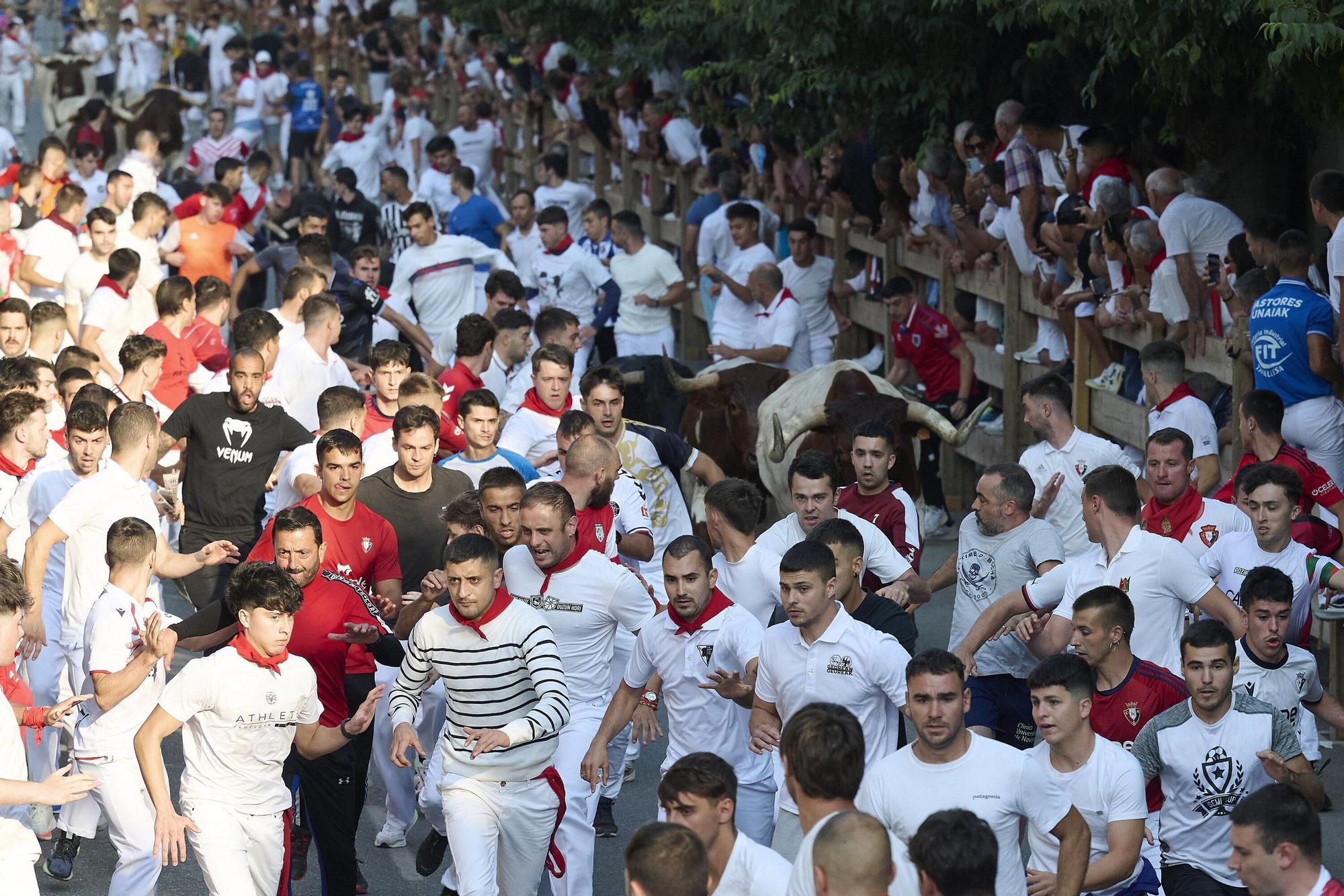 Fotos del primer encierro de fiestas de Tafalla