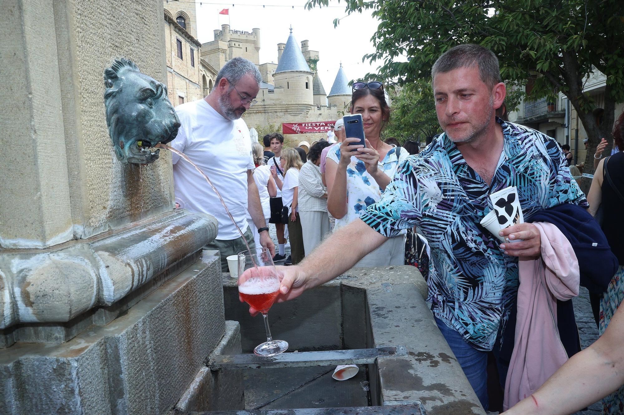 Fotos de la Fiesta de la Vendimia 2025 en Olite