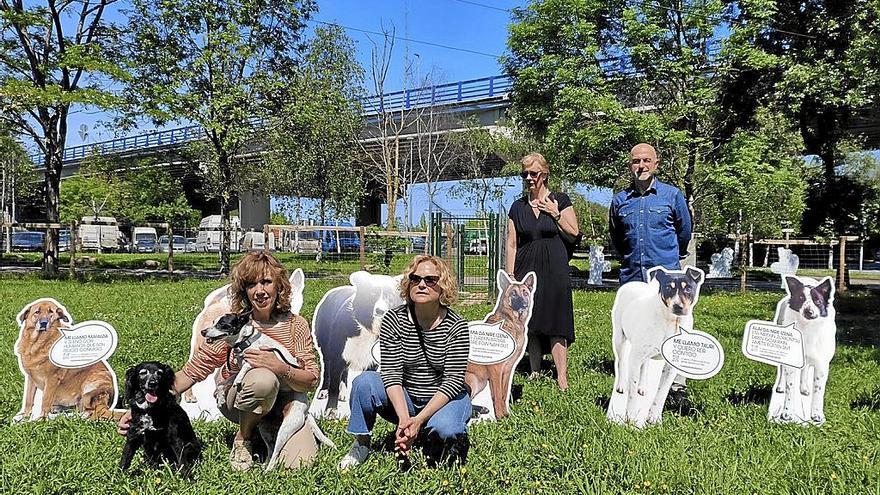 Zarautz quiere mejorar la convivencia con las mascotas