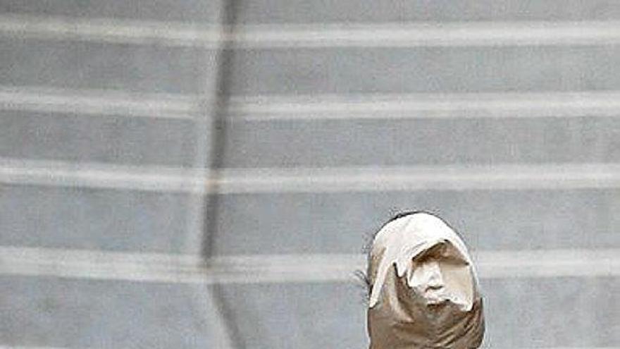 Día Mundial  de Lucha contra  la Rabia