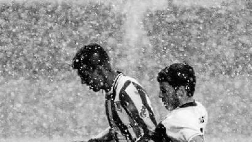 Deporte blanco