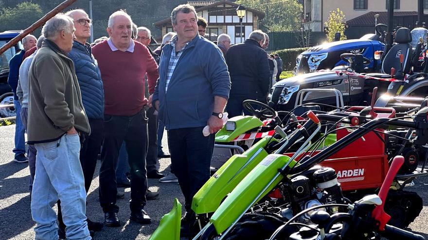 Doneztebe celebrará sus ferias este viernes