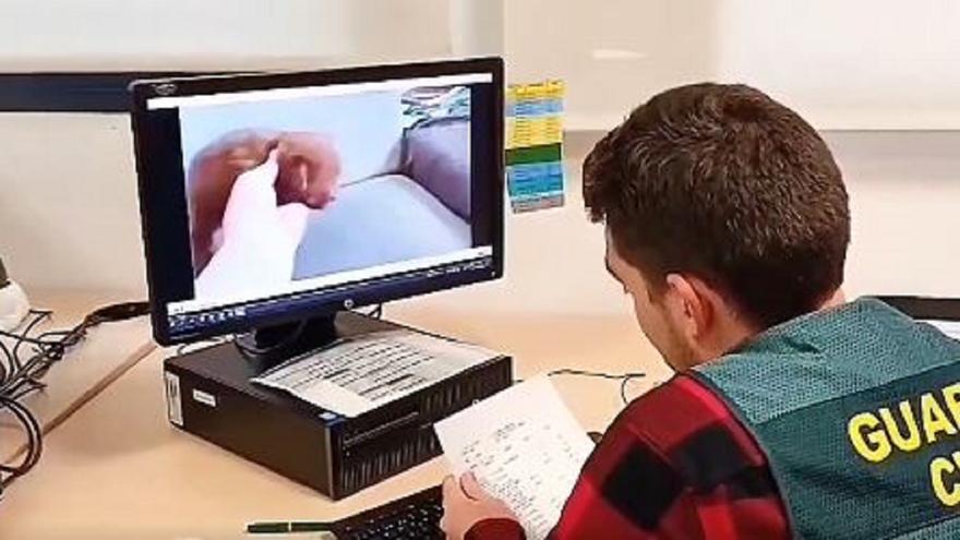 Estafa en Errenteria: dos hombres investigados por fraude en la adopción de un perro