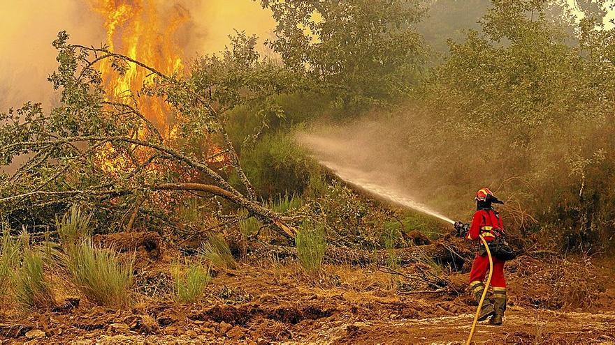 Incendios forestales y olas de calor