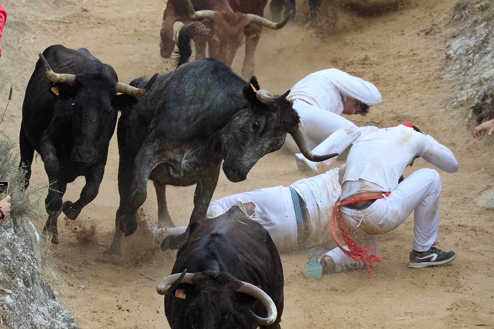 Fotos del tercer encierro del Pilón de Falces 2025