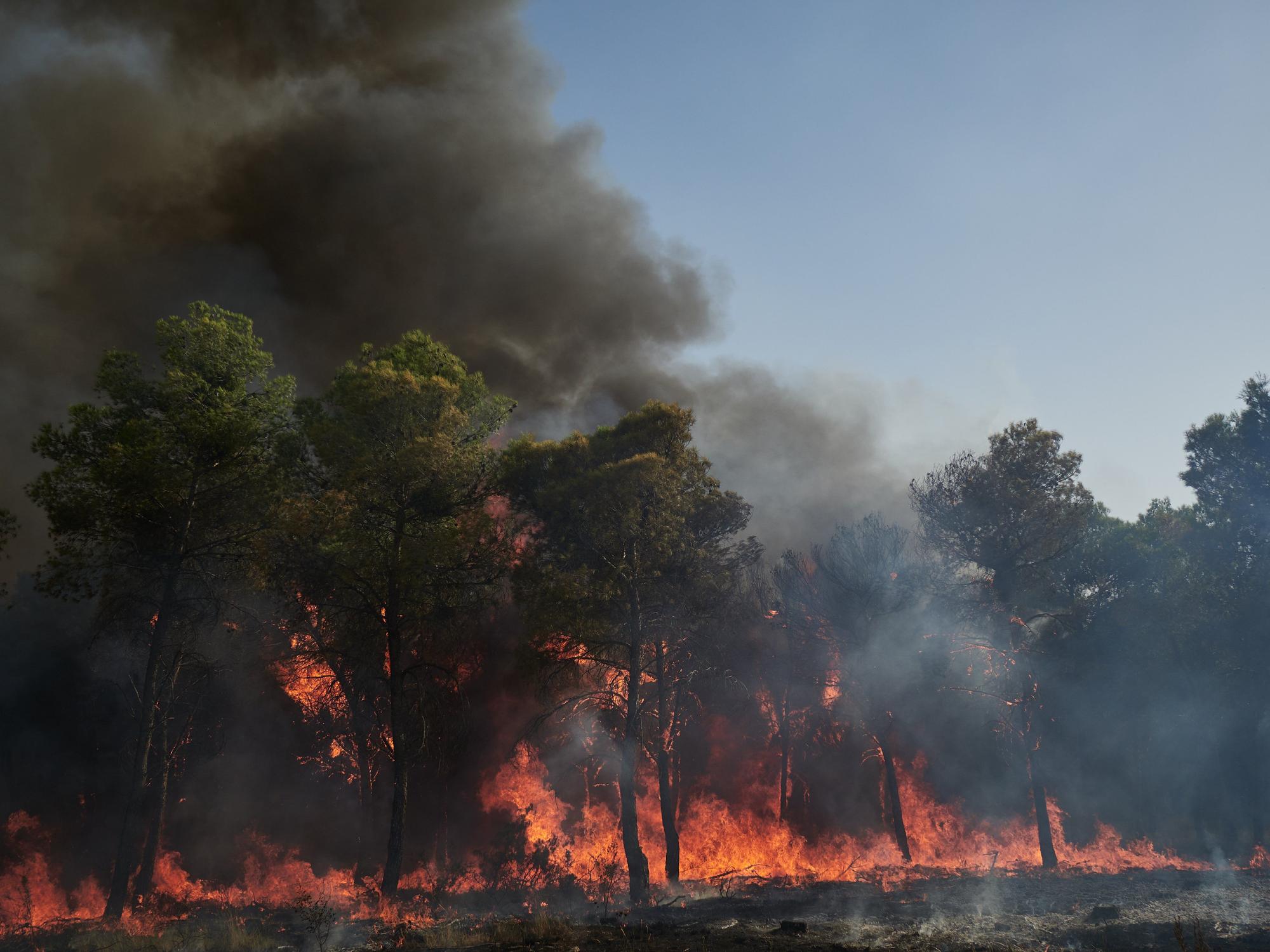 Fotos del incendio forestal cerca de Carcastillo