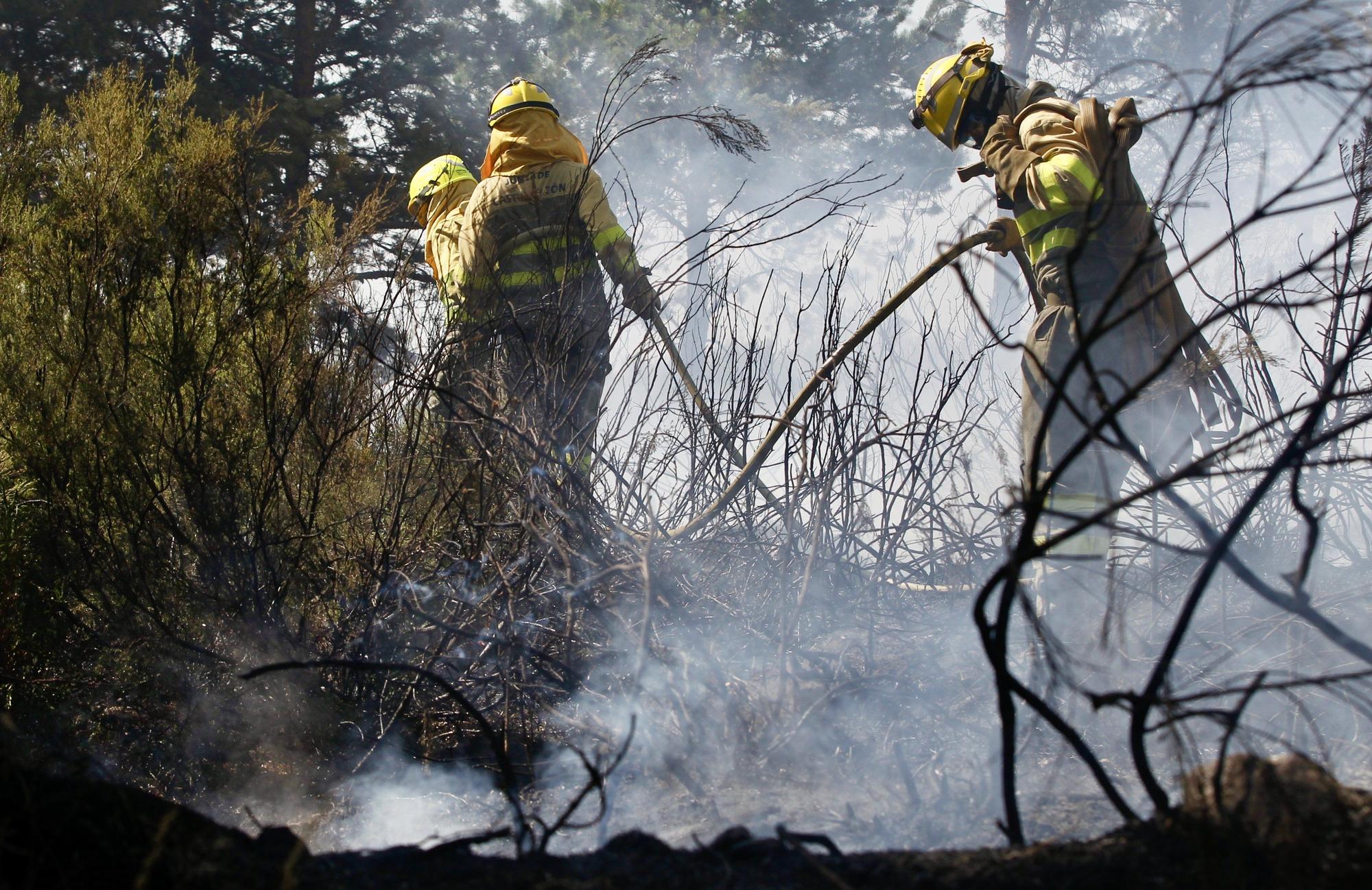 Semana negra de incendios: Cuatro muertos y 120.000 hectáreas quemadas