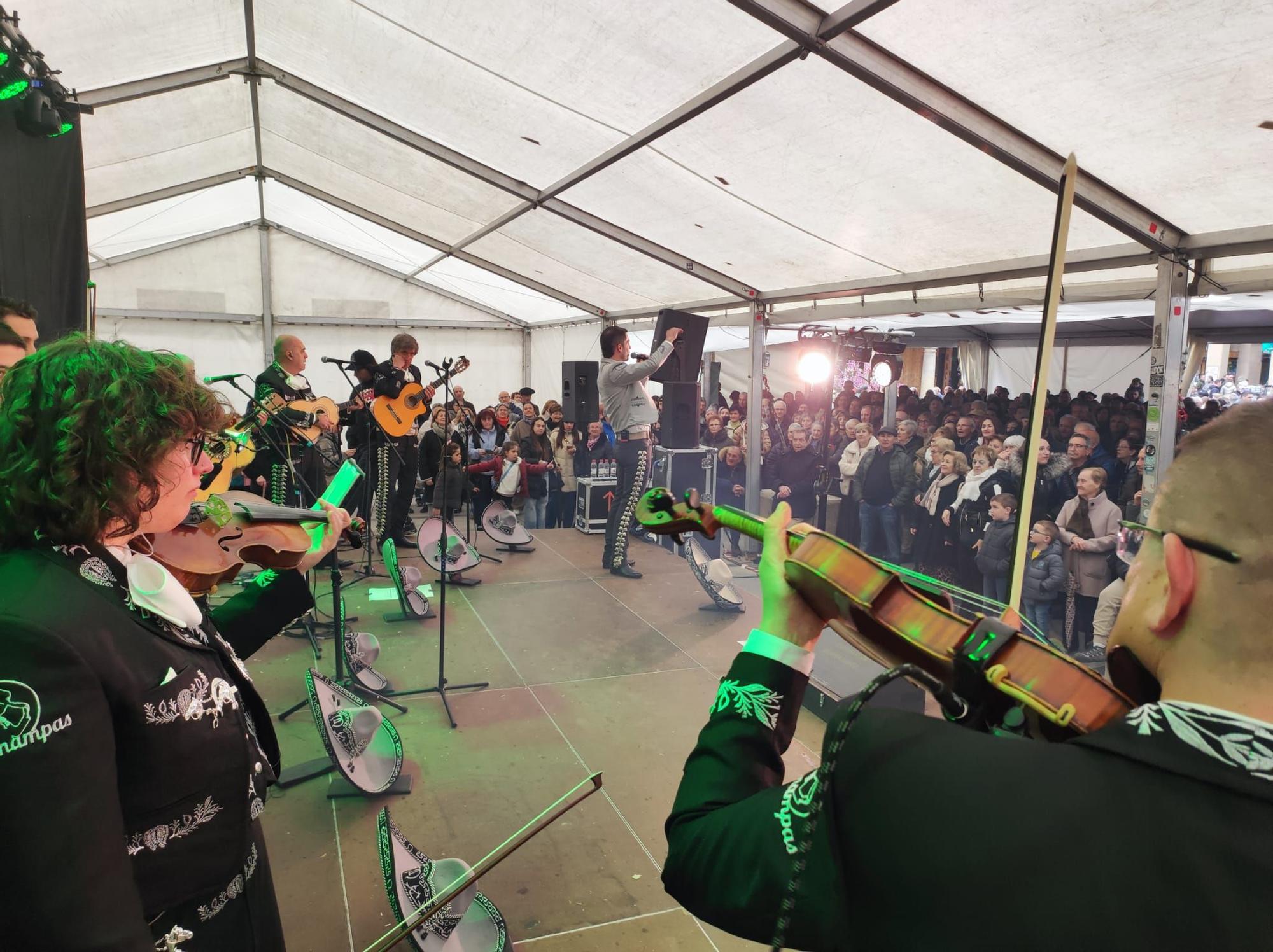 Fotos de las ferias en Estella-Lizarra