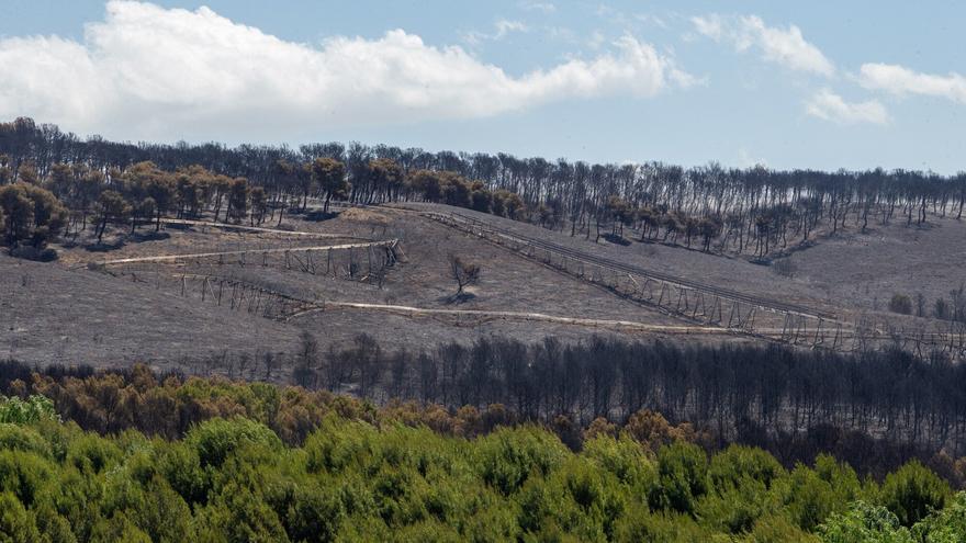 Arguedas retoma los trabajos de restauración de 230 ha de monte, tras el incendio de 2022