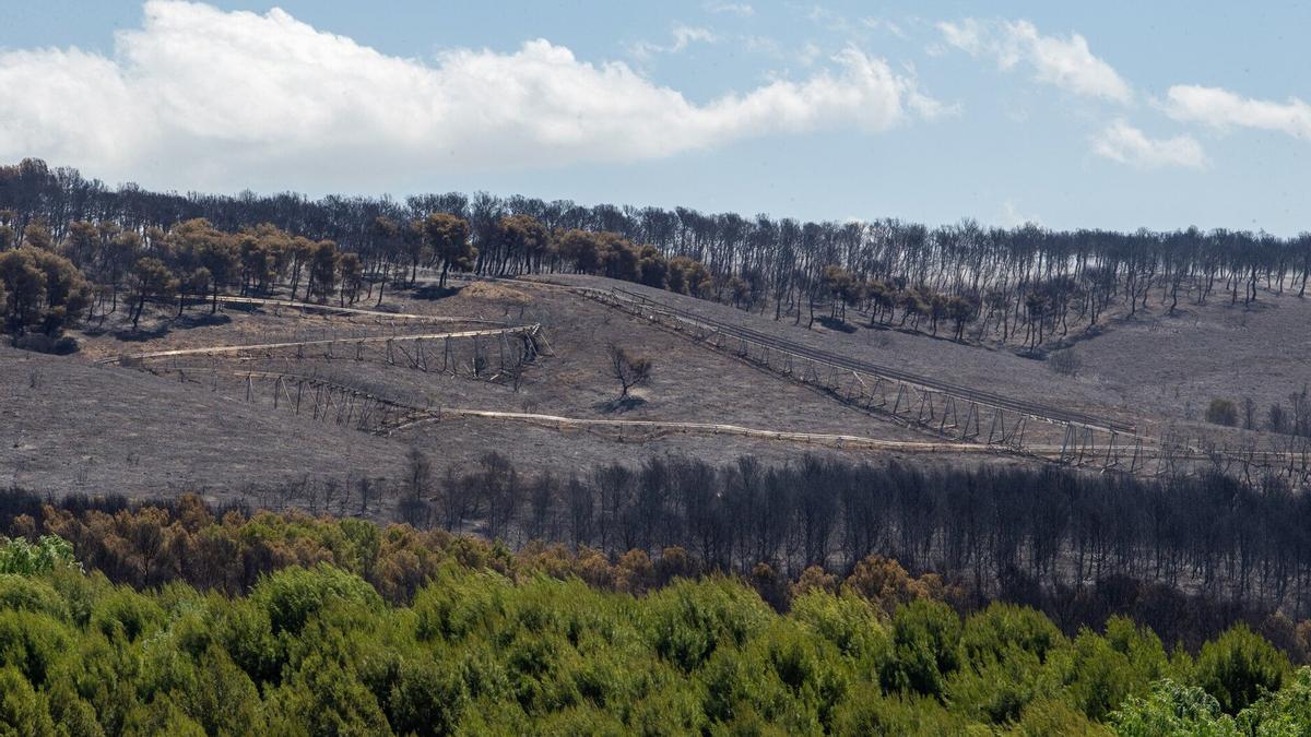 Laderas de Sendaviva arrasadas por el incendio de 2022, cerca de Arguedas.